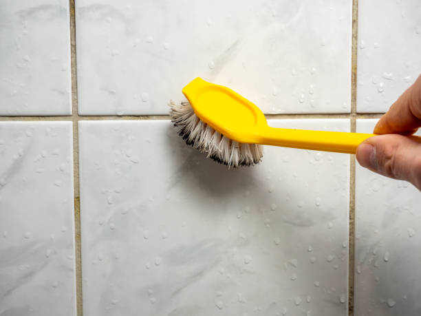 Best Fast Mold Removal  in Cottage Grove, MN