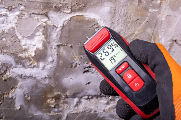 Best Certified Mold Removal  in Cottage Grove, MN