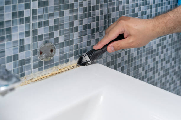 Best Mold Remediation  in Cottage Grove, MN